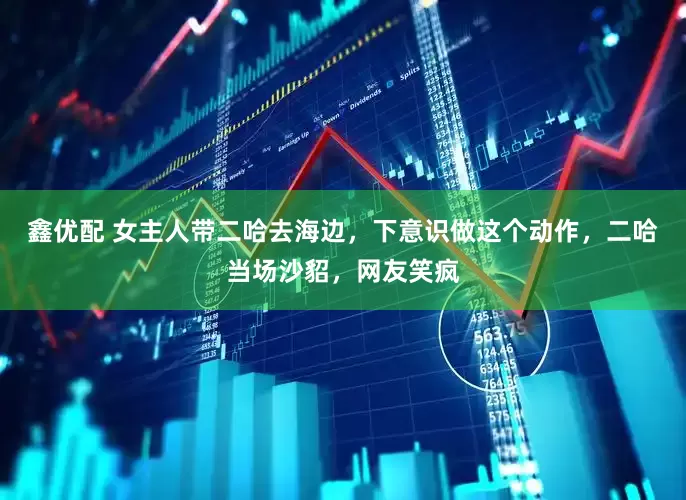 鑫优配 女主人带二哈去海边，下意识做这个动作，二哈当场沙貂，网友笑疯