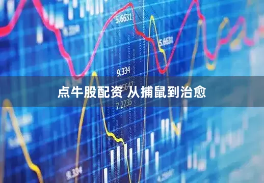 点牛股配资 从捕鼠到治愈