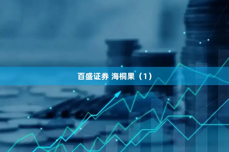 百盛证券 海桐果（1）