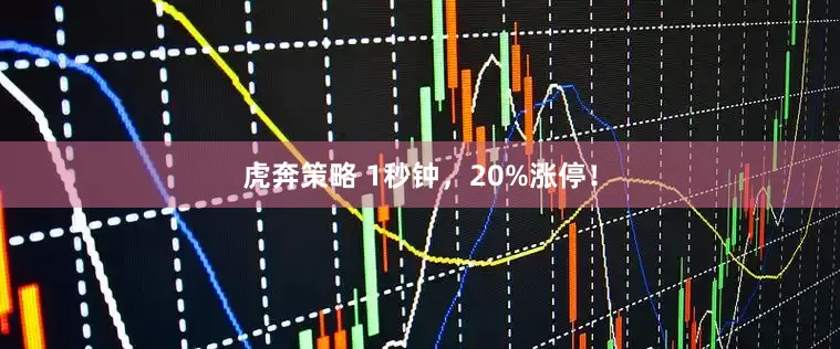 虎奔策略 1秒钟，20%涨停！