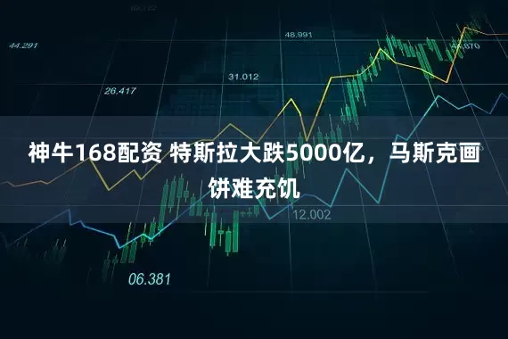 神牛168配资 特斯拉大跌5000亿,马斯克画饼难充饥